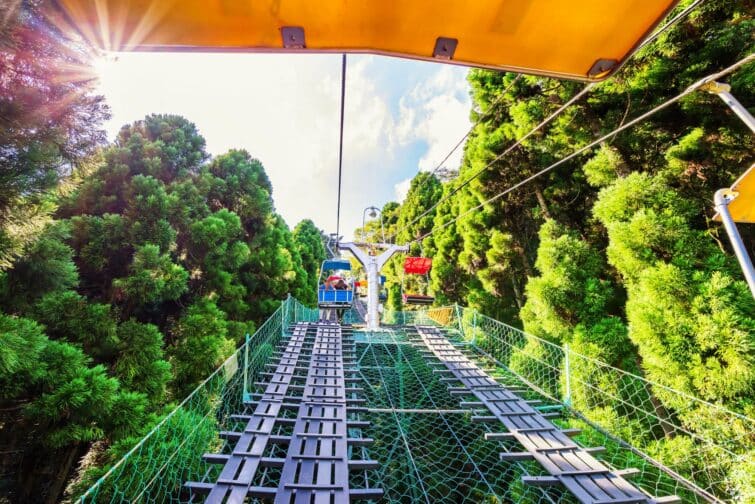 Mont Takao près de Tokyo, visiteurs explorant les chemins naturels et le riche cadre forestier