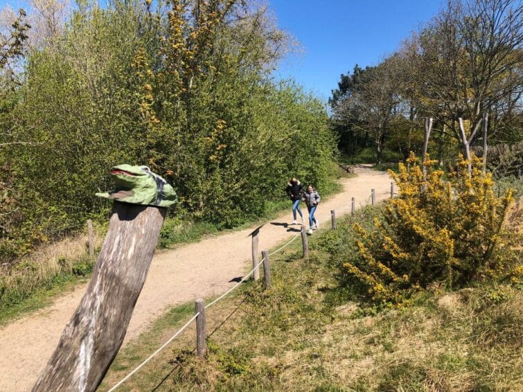 Petite boucle dans le parc naturel de Zwin près de Bruges