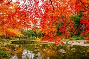 Pond with bridge in Koishikawa Korakuen Gardens during autumn, Tokyo, Japan