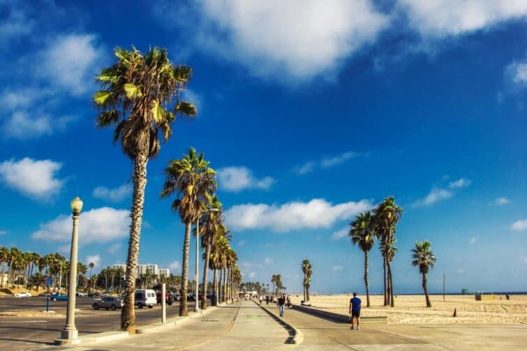 Promenade de Venice Beach avec palmiers, Los Angeles