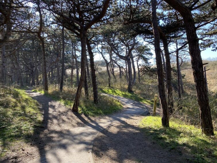 Sentier côtier de Blankenberge près de Bruges