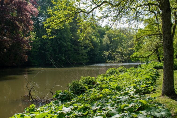 Vue aérienne des canaux et des routes de la ville historique de Bruges en Belgique