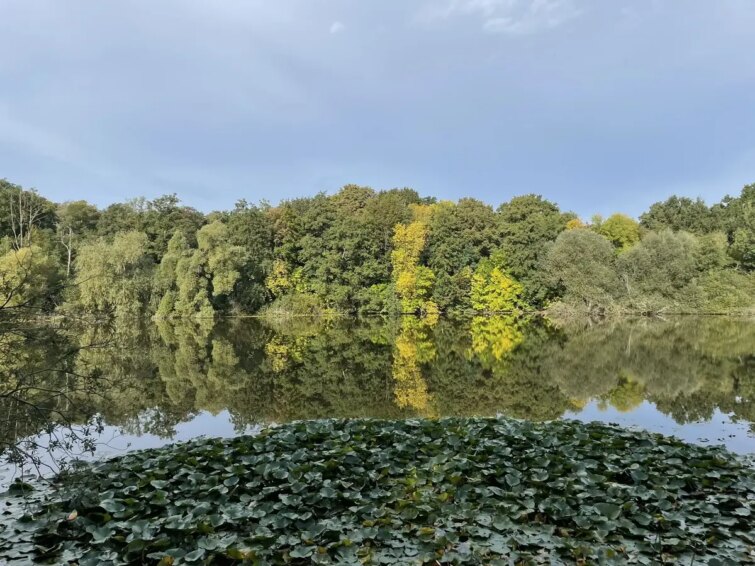 Vue panoramique de la randonnée à Kanonberge près de Berlin avec des sentiers forestiers et un ciel dégagé