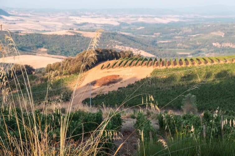 Vue panoramique des vignobles du Brunello di Montalcino en Toscane, Italie