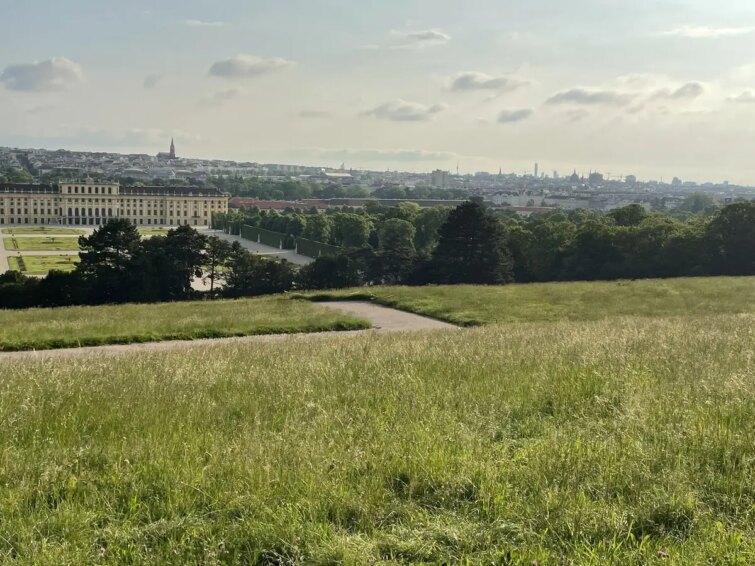 Vue panoramique sur Vienne depuis la Gloriette avec ciel dégagé et verdure environnante.