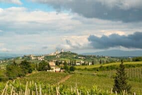 vignes de Chianti classico toscan avec paysage rural en arrière-plan
