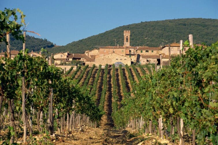vignobles du Chianti Classico en Toscane près de Sienne
