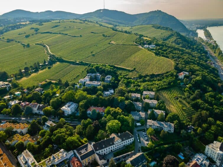 Vue aérienne panoramique des vignobles de Nussdorf à Vienne, Autriche, idéal pour la randonnée