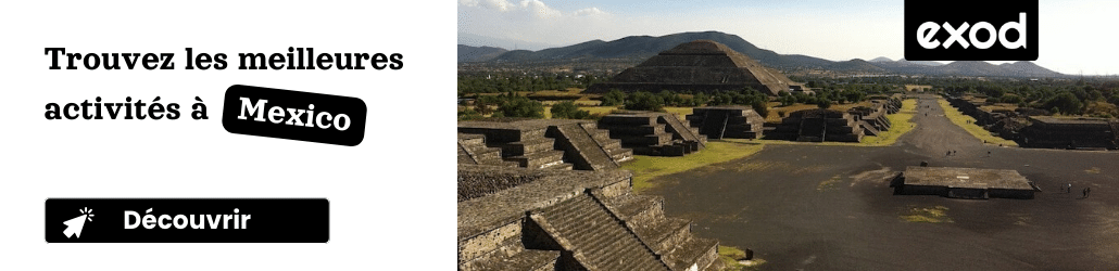 Visite guidée de Mexico: 40 monuments, musées et attractions