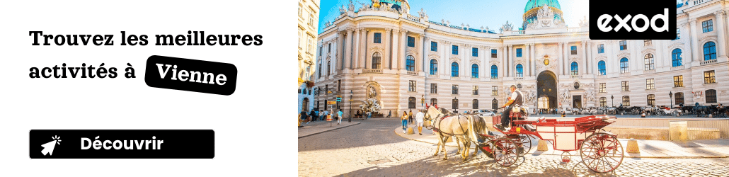 6 idées de visites guidées à Vienne