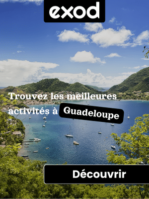 Sidebar_exod_Guadeloupe_18_07_24