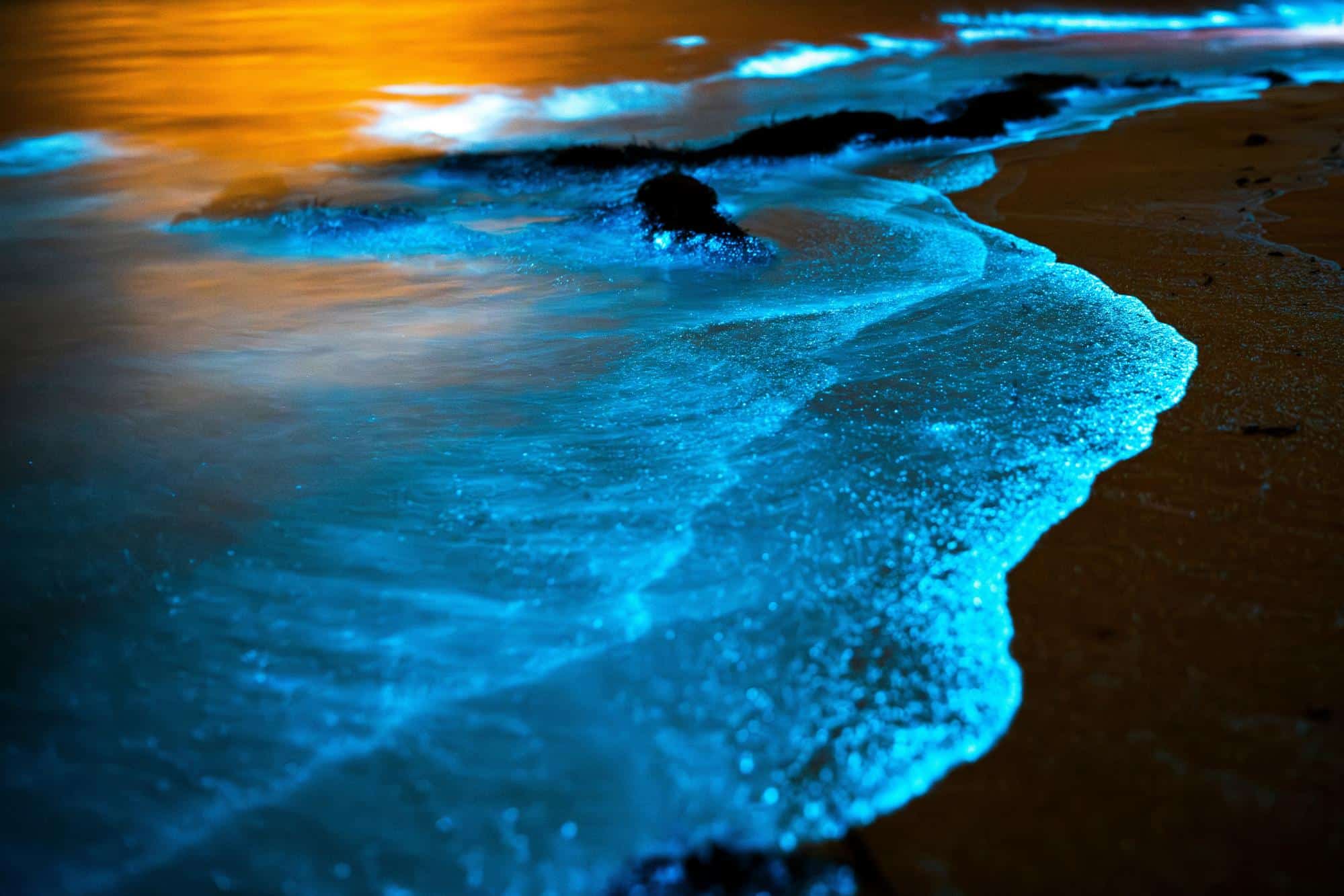 Plage bioluminescente à Jervis Bay, Australie, illuminée la nuit par des organismes marins luminescents