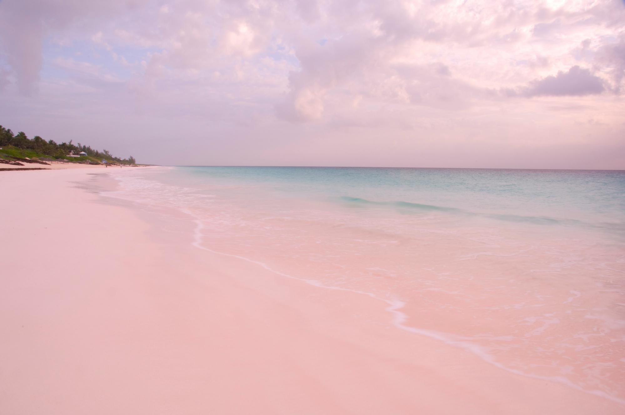 Plage de sable rose sur Harbour Island aux Bahamas