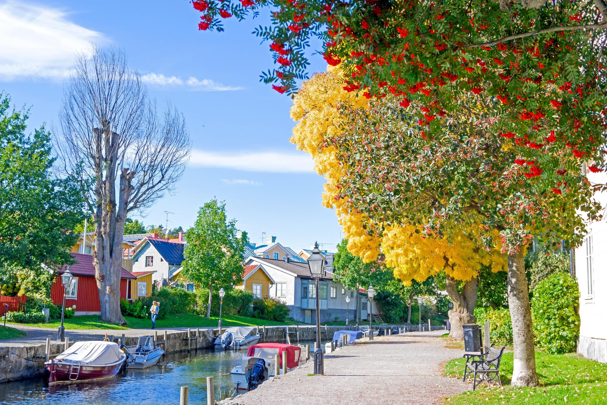 Arbres colorés à Trosa, Suède, dans un magnifique paysage naturel