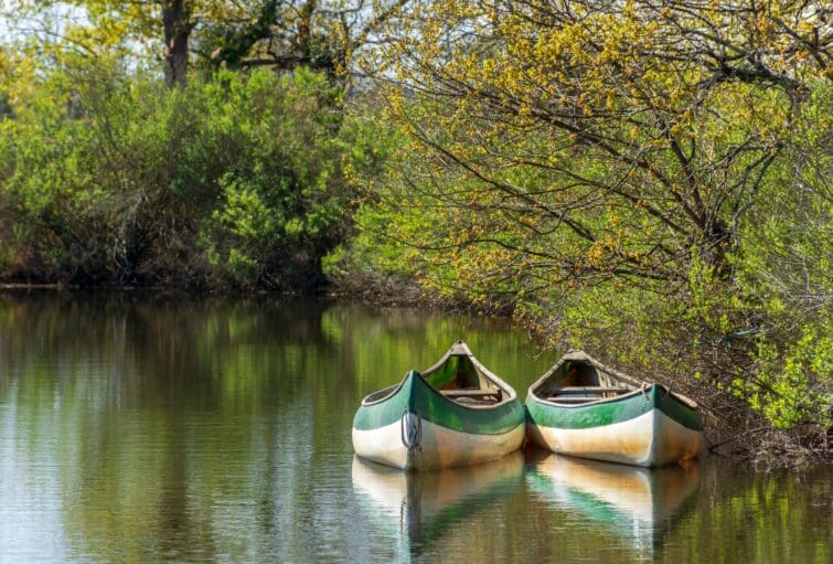 Canoës sur la rivière dans la Baie d'Arcachon, Nouvelle-Aquitaine, similaire à une petite Amazonie