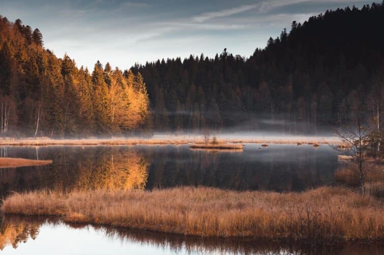 Lac de Lispach enveloppé de brouillard léger en automne