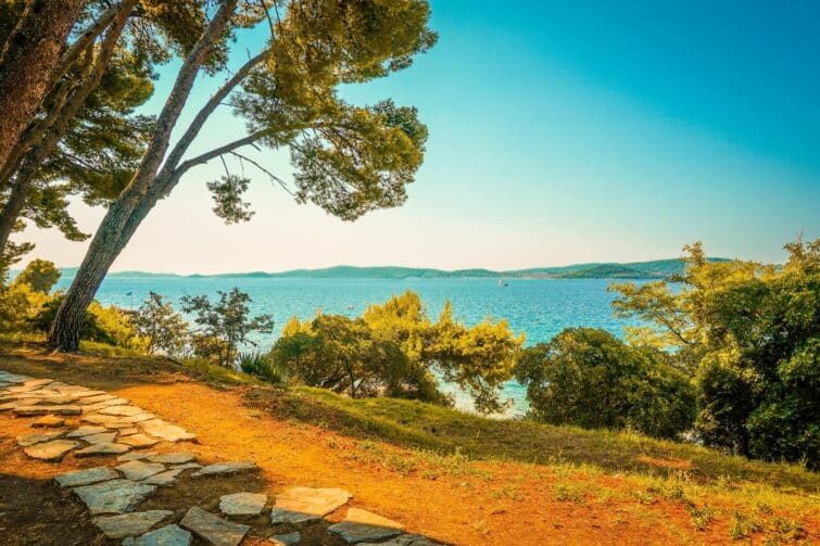 Vue pittoresque sur la mer et les pins avec île lointaine en Croatie