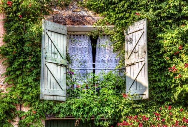 Climbers surrounding window in Tourtour village, Provence