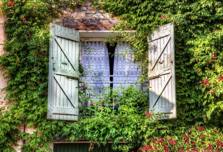 Climbers surrounding window in Tourtour village, Provence