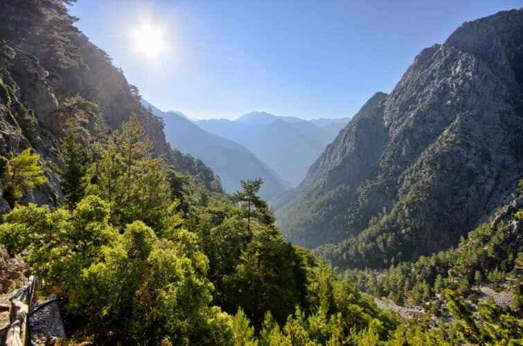 Famous Samaria Gorge in Crete, Greece, a scenic view of the narrow canyon and rocky cliffs surrounded by greenery