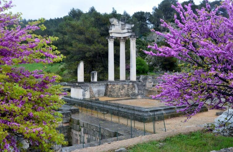 La métamorphose romaine de Glanum, ville antique fortifiée, au printemps