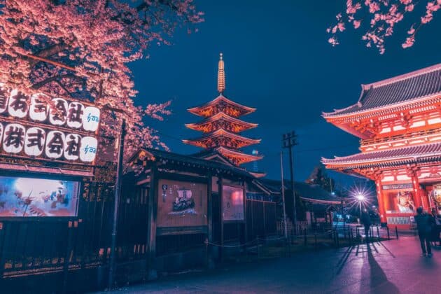 Randonnées et balades à Tokyo avec vue sur les cerisiers en fleur