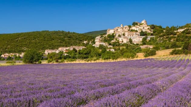 Village médiéval de Simiane-la-Rotonde entouré de champs de lavande en Provence, France