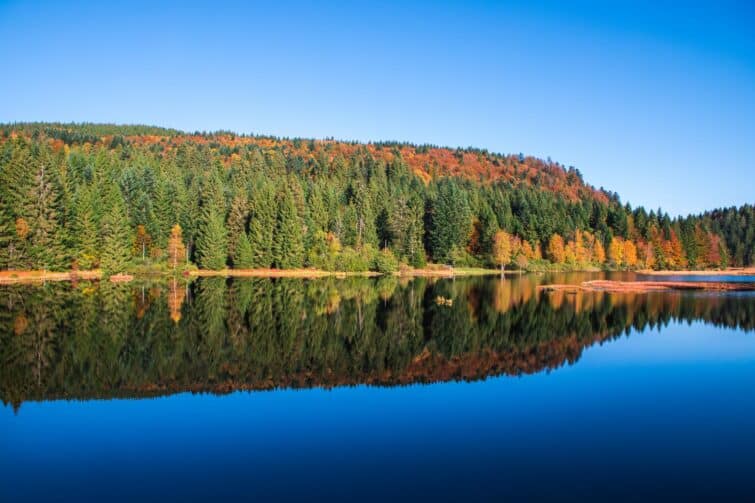 reflet incroyable au lac Lispach dans les Vosges, cadre ressemblant au Canada