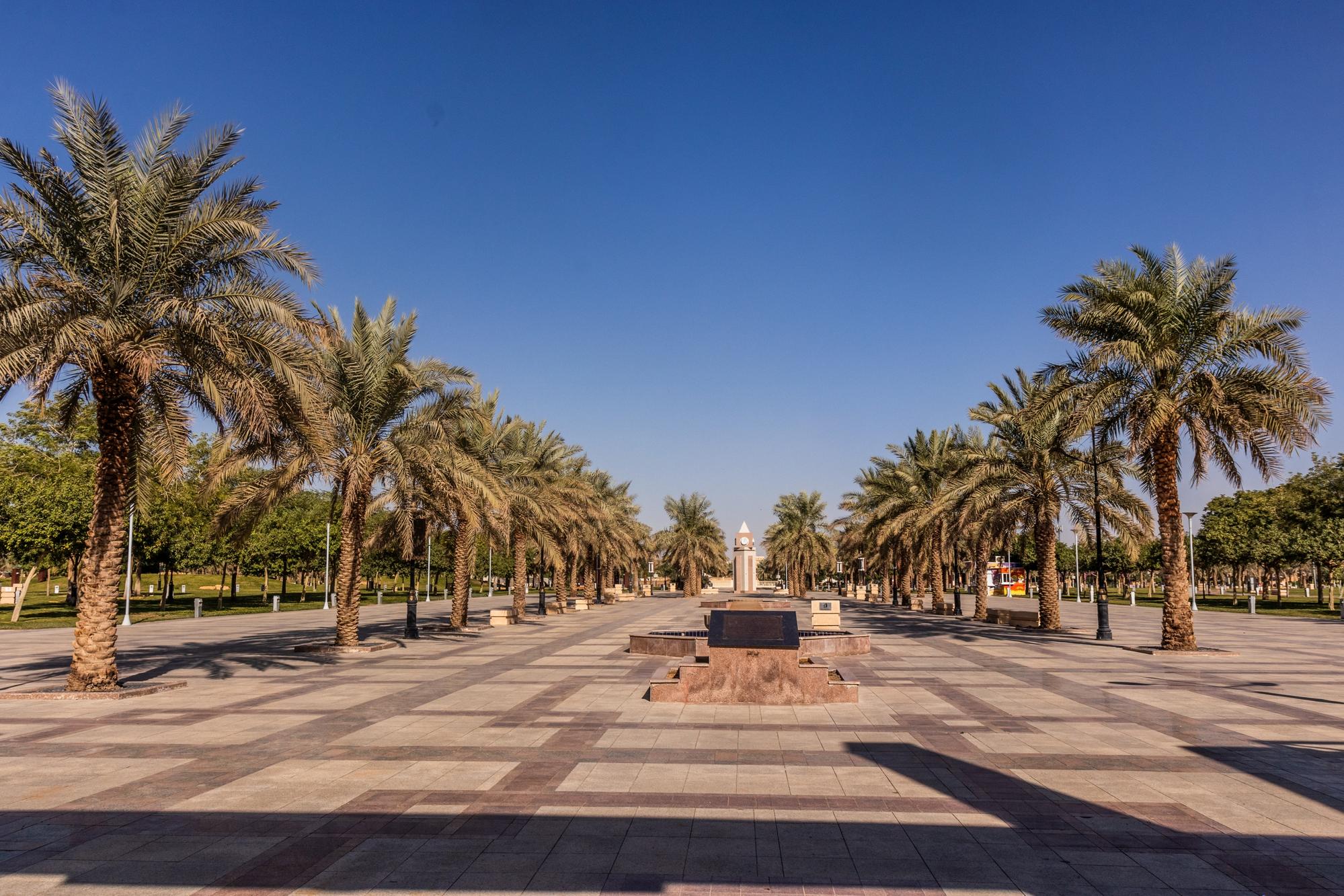6 activités inoubliables à faire à Riyad