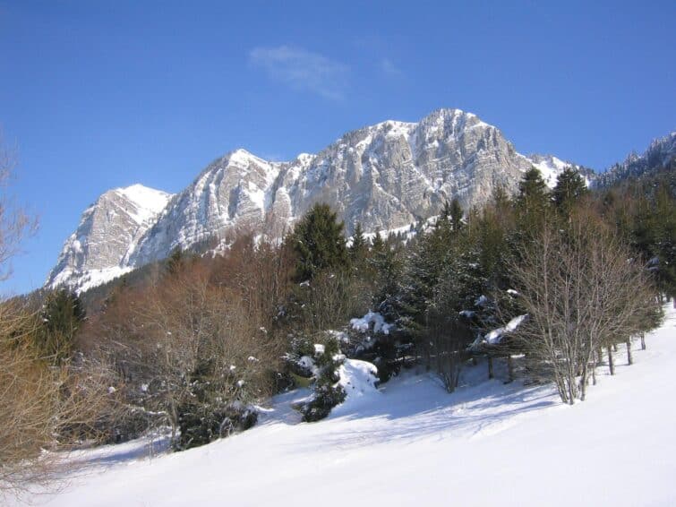 Vue panoramique du Pic des Mémises à Thollon-les-Mémises, montrant les montagnes et la forêt environnante