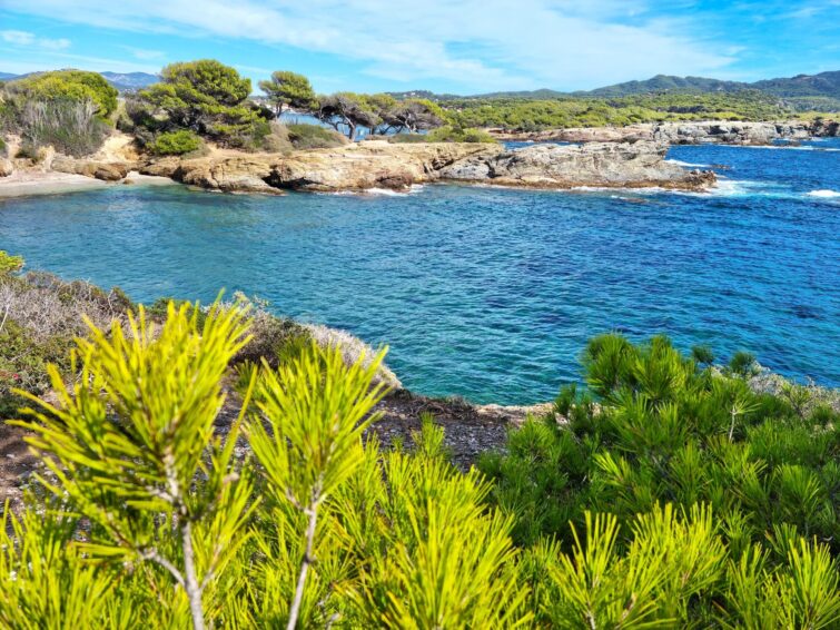 Vue panoramique d'une plage sauvage sur l'île des Embiez dans le sud de la France