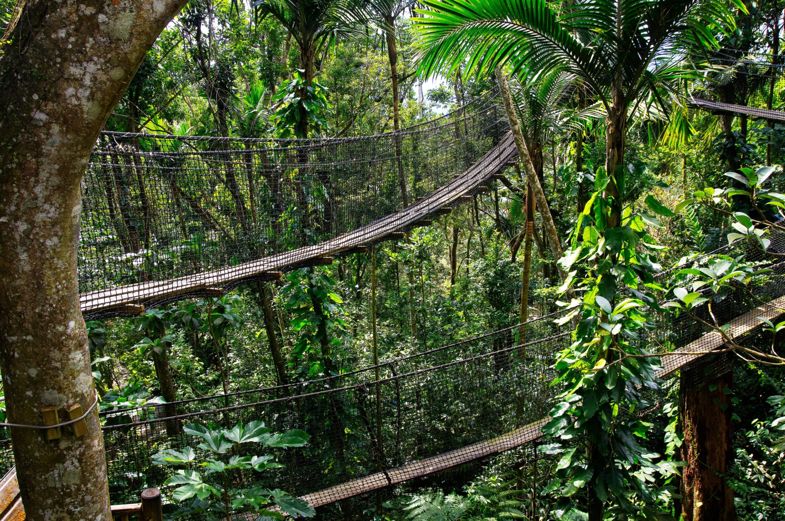 Parc des Mamelles -Guadeloupe