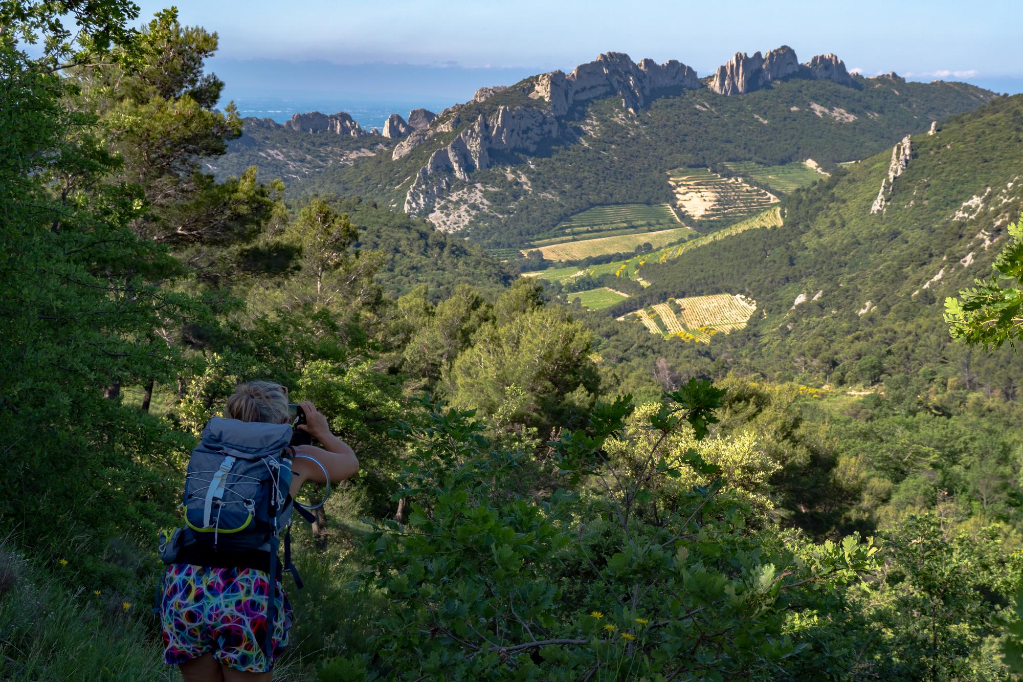 Vue panoramique des Dentelles de Montmirail en France, sous un ciel bleu clair