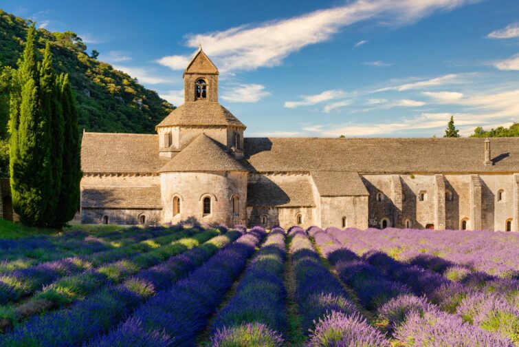 Abbaye de Sénanque