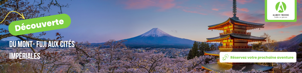 Découvrez les villages cachés des Alpes japonaises dont l’architecture unique défie la nature