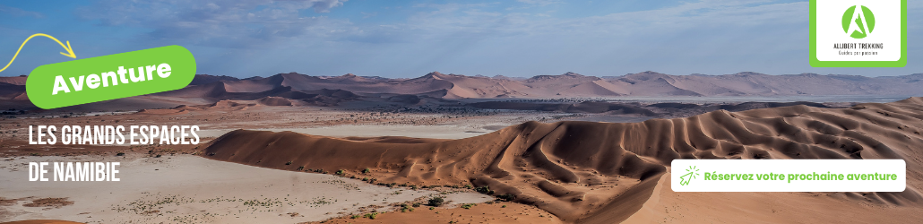 Dead Vlei, beau à mourir