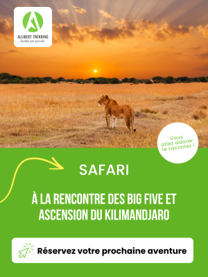 sidebar_allibert_tanzanie_26_02_25