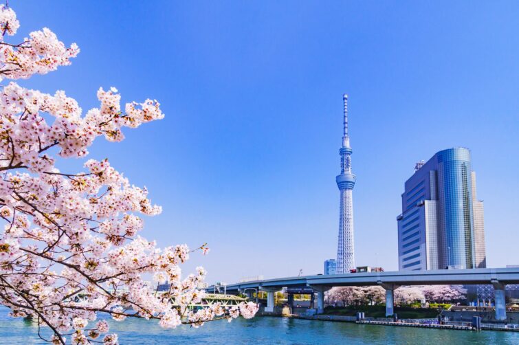 La tour Tokyo Skytree offre un panorama exceptionnel sur Tokyo à 634 mètres de haut/Vue sur Tokyo Skytree depuis la rivière/Vue sur Tokyo Skytree depuis la rivière