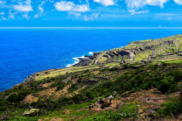 Paysage côtier de l'île de Pantelleria avec terrasses agricoles