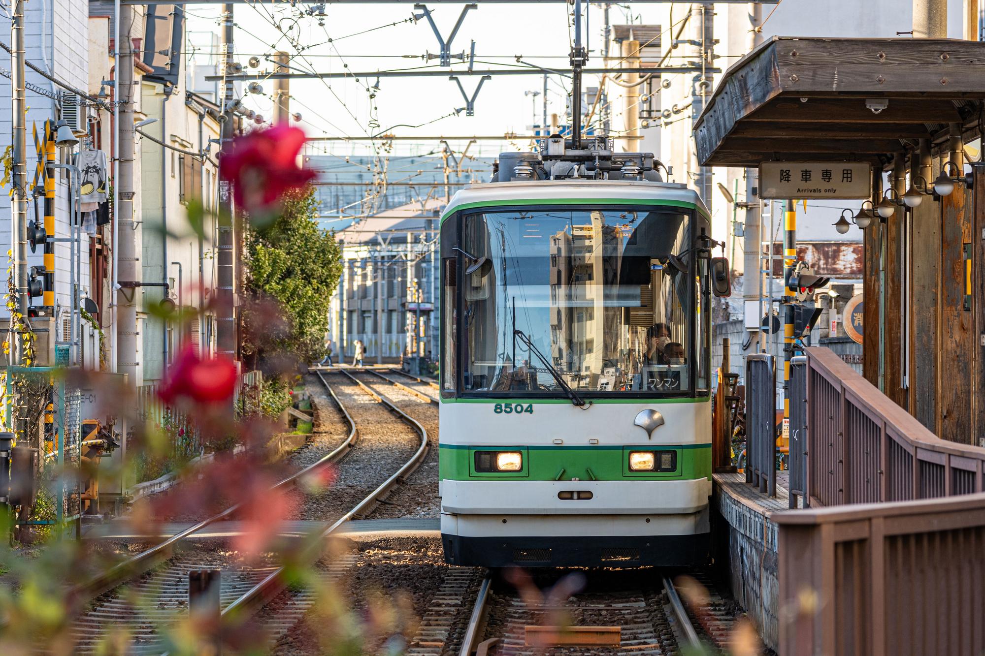 Petit tramway Sakura vert et blanc à Tokyo, Japon