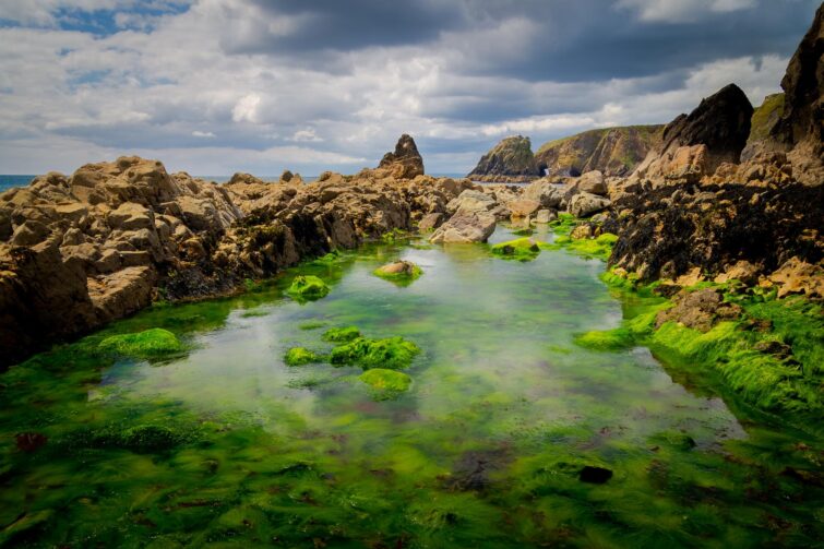 Vue panoramique de la Copper Coast à County Waterford, Irlande, avec falaises et mer agitée