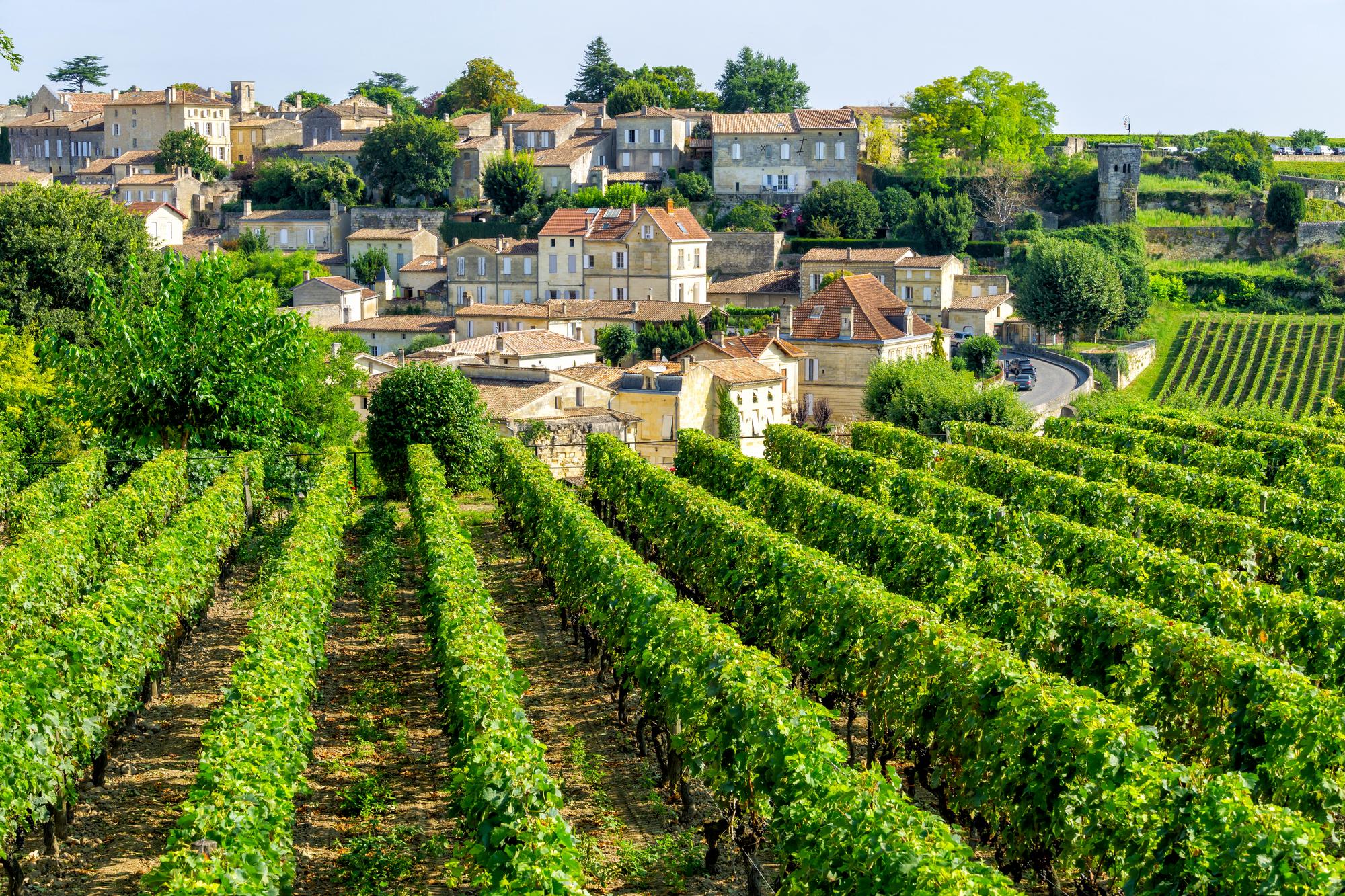 Vue sur les vignobles de Saint-Émilion avec le village en arrière-plan, France