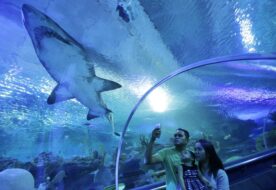 Aquaria KLCC