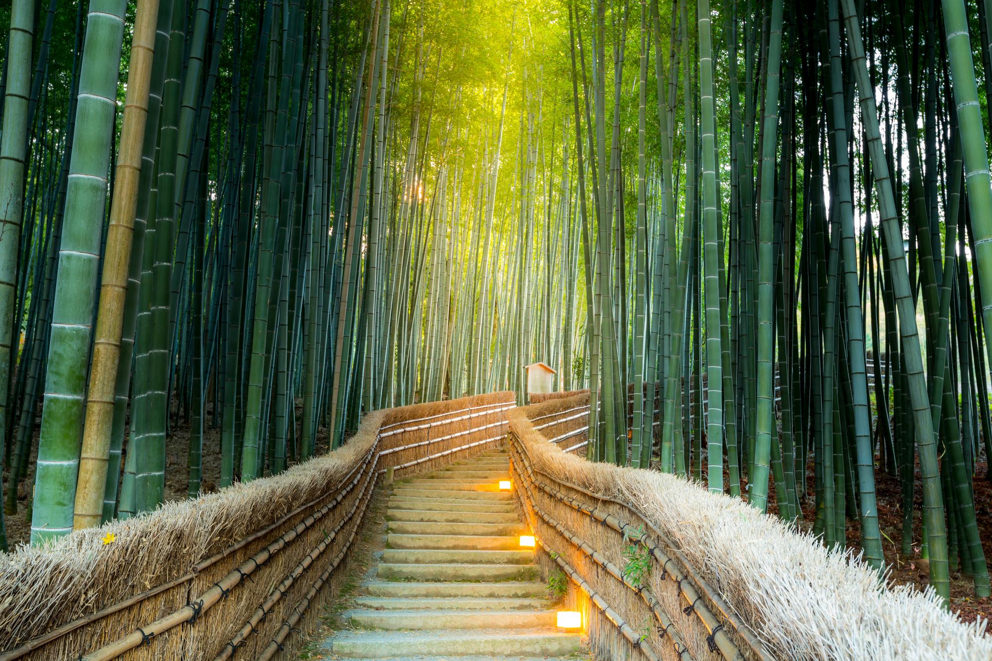 Arashiyama à Kyoto