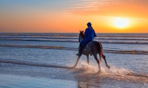 Balade à cheval sur la côte d'Agadir Maroc