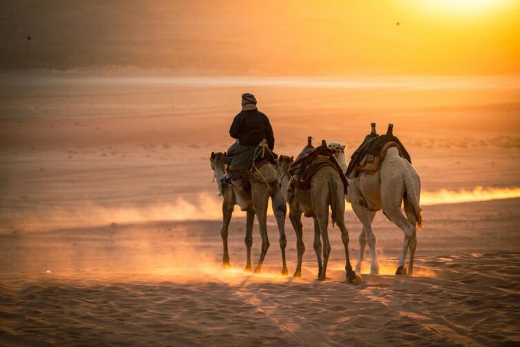 Bedouin riding camel at sunset in Wadi Rum desert, Jordan