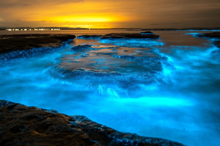 Bioluminescence dans la baie de Jervis, Australie, illuminant l'eau la nuit en bleu vibrant