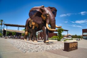 Bioparc Valencia