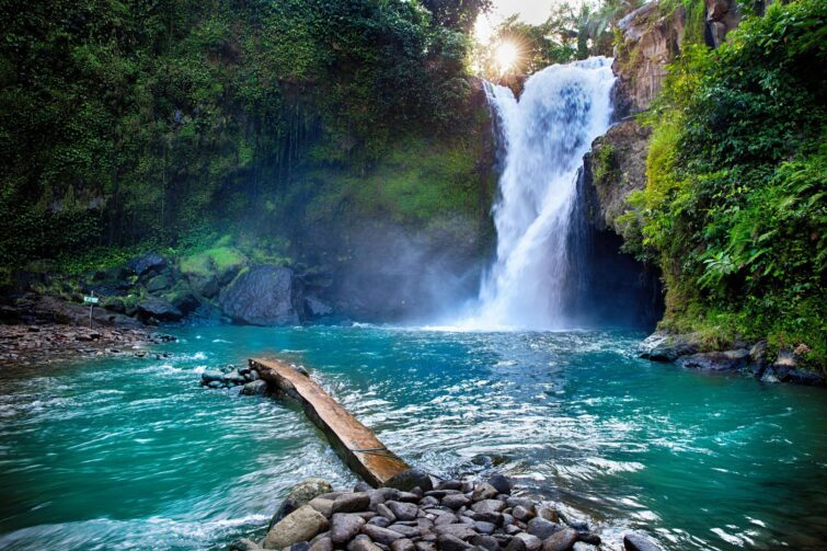 Cascade de Tegenungan dans la jungle de Bali