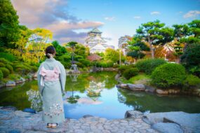 Château d'Osaka avec vue panoramique et artefacts historiques